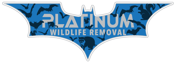 Animal Removal Gratiot County